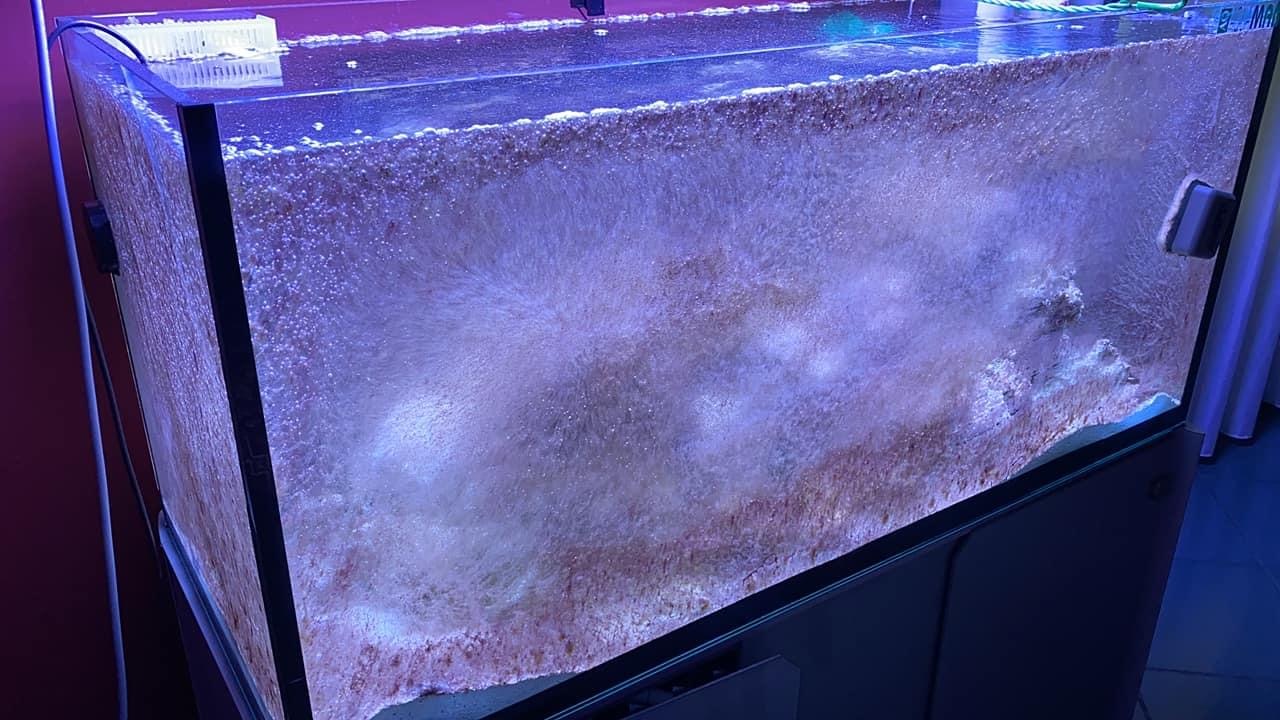 6D0E540A-D74E-40B6-A682-B4359083616E