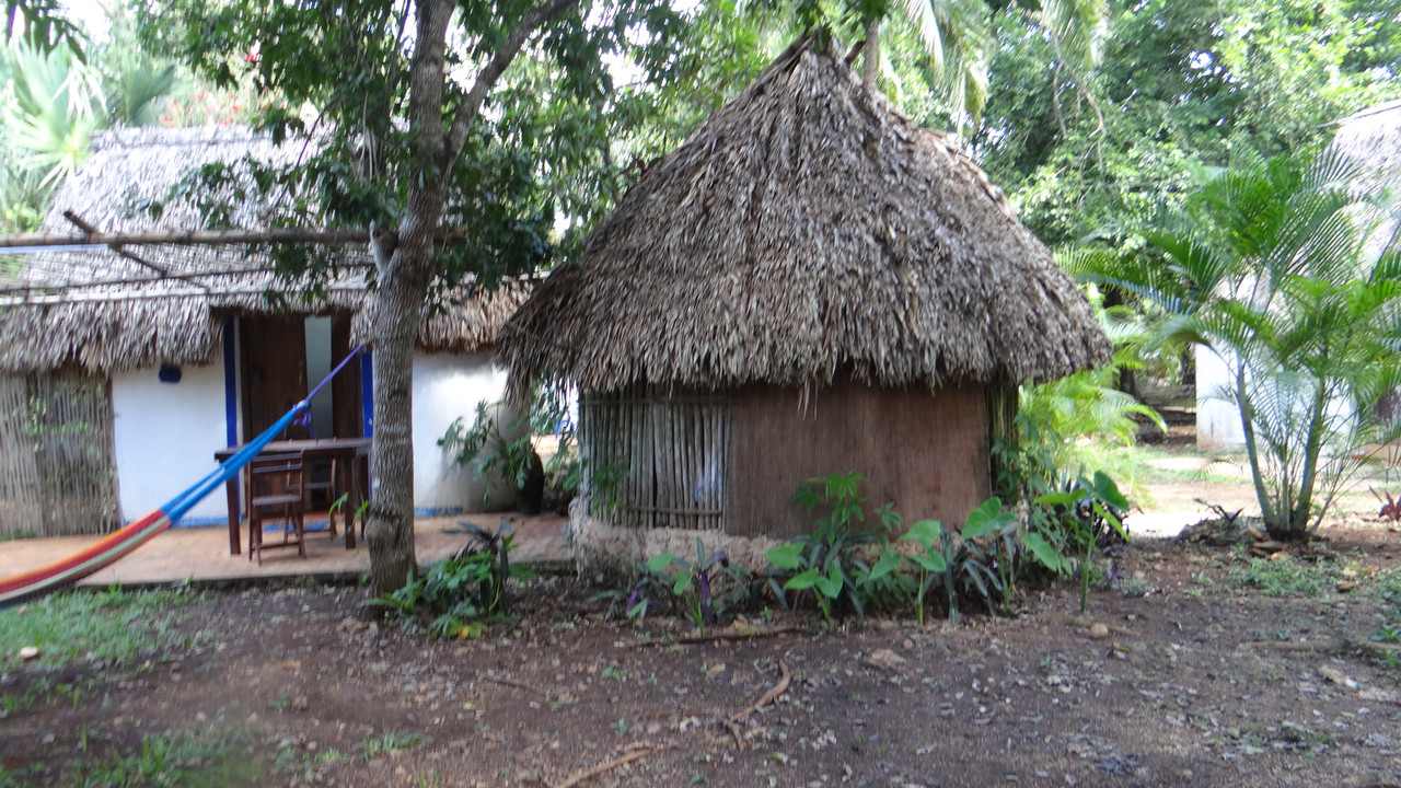 DSC01128