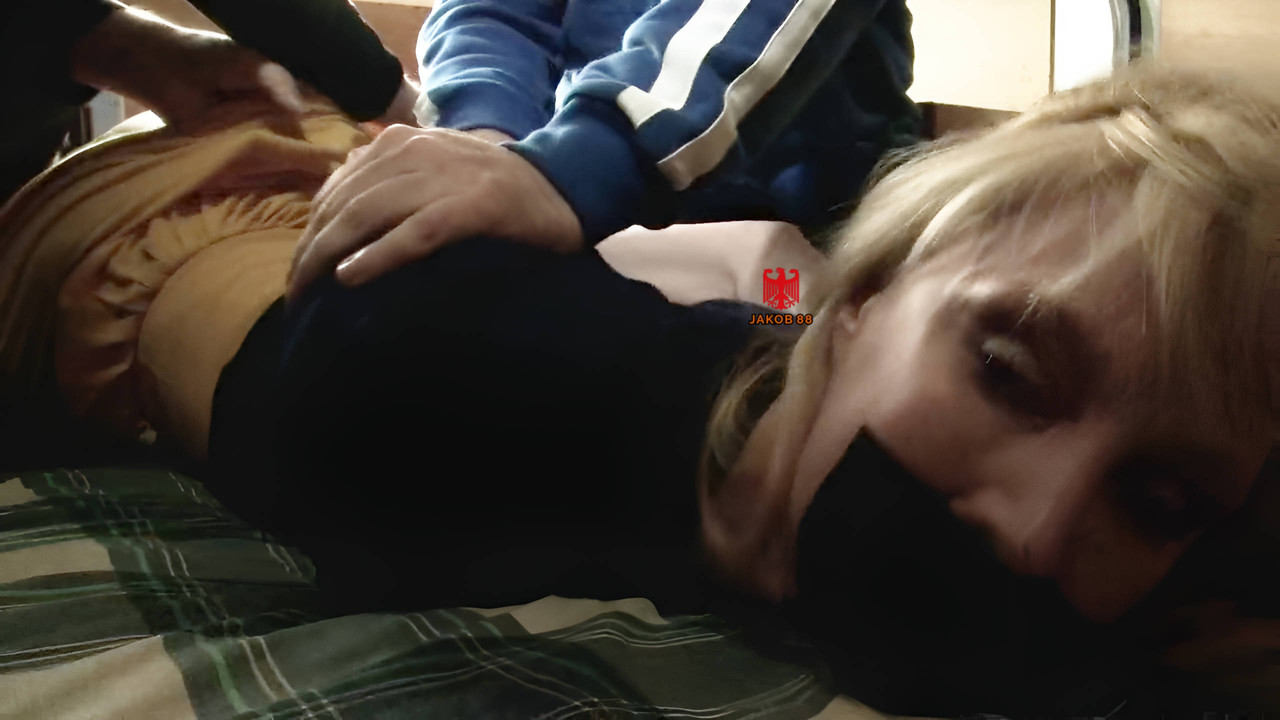 Joceline Brooke-Hamilton 2 - The Dossier 2015