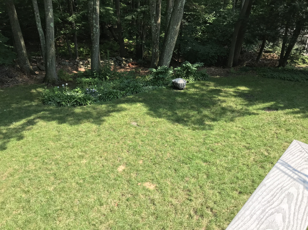 949381A9-2139-494A-AC48-F0C1FC157F39