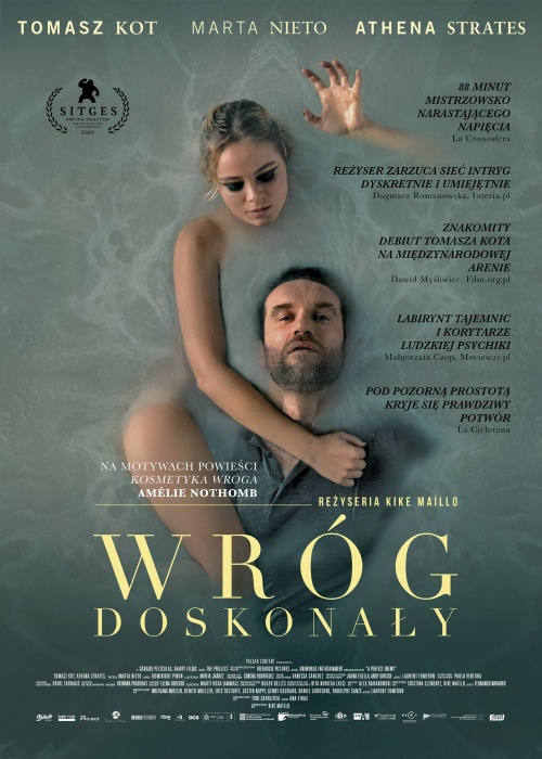 Wróg doskonały / A Perfect Enemy (2020) PL.WEB-DL.XviD.AC3-NINE / Lektor PL