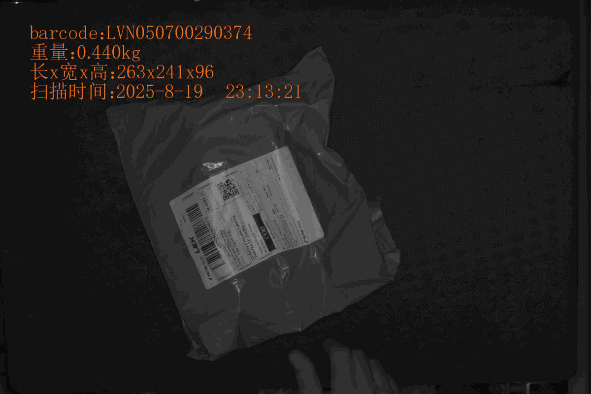 LVN050700290374_263_241_96_0.440_2025_8_19_23_13_21