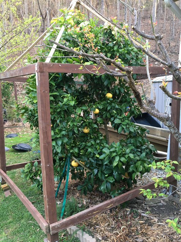 A0DF8231-4D8B-4BA8-A372-8FFF3B23D6C1