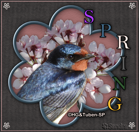 An den Beitrag angehängtes Bild: https://i.postimg.cc/W4f1bZpb/gbls04m.png