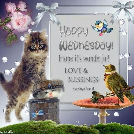 KITTYS-HAPPY-WEDNESDAY