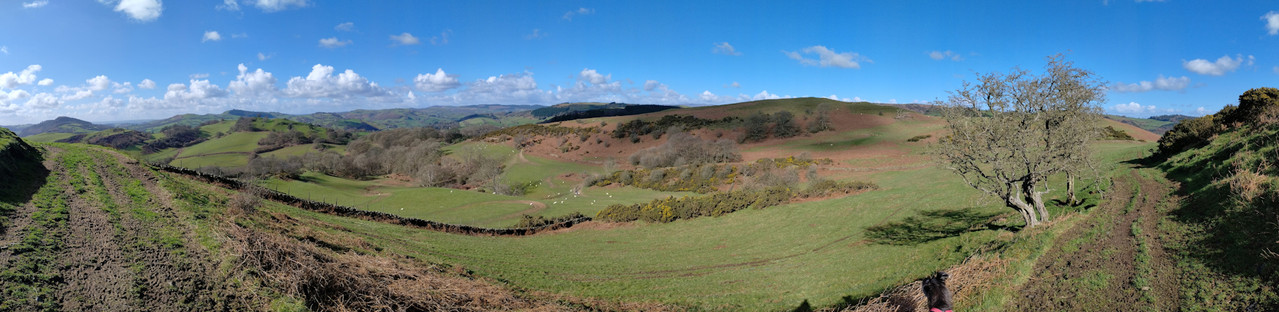 Walk14Mawrth (11) rszd