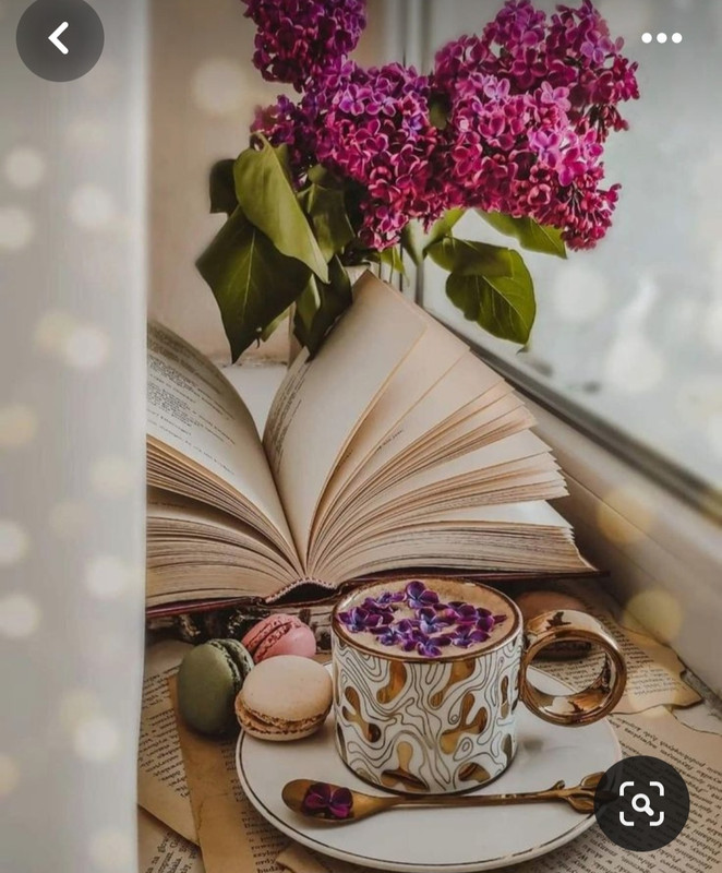 Screenshot_20240328_230814_Pinterest