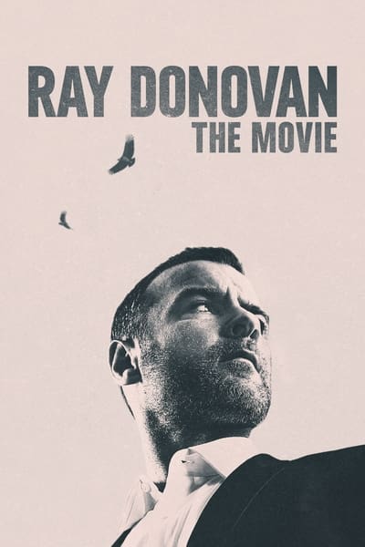 Ray Donovan The Movie 2022 HDRip XviD AC3-EVO