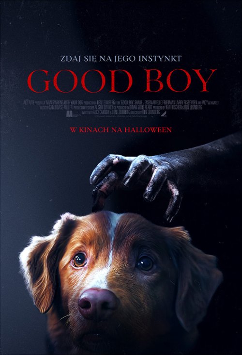 Good Boy (2025) PL.WEB-DL.XviD-OzW / Lektor PL