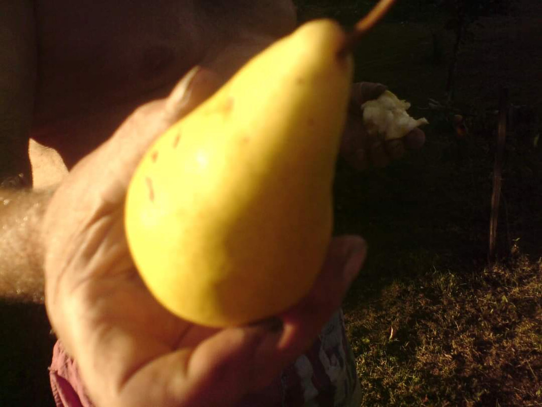 FB-IMG-1687719733725