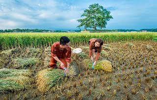 Phòng Thơ Cộng Đồng (Gửi Bài Viết) 115