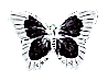 https://i.postimg.cc/W4g1BLVb/mariposa-removebg-preview.png