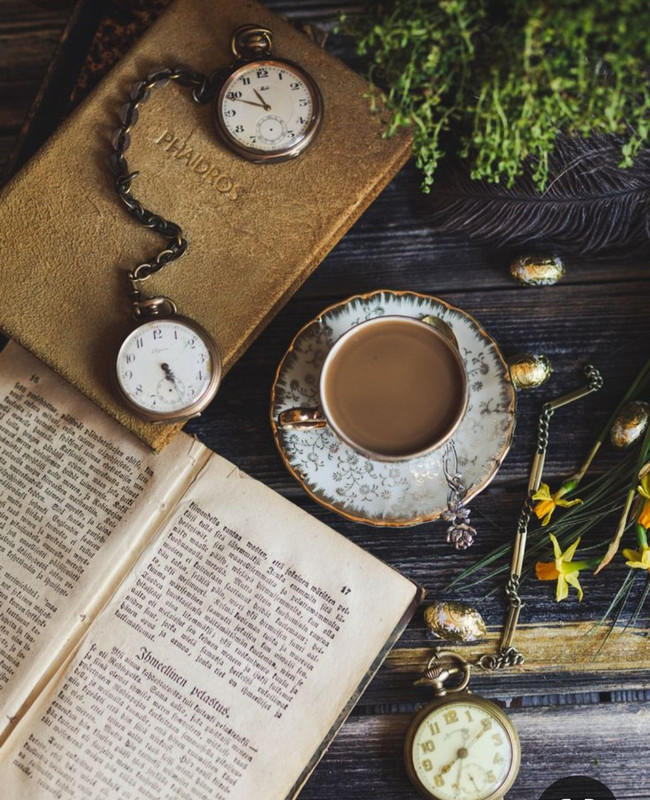 Screenshot_20240203_194028_Pinterest