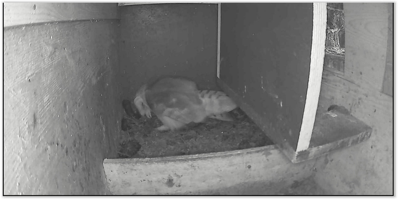 Screen Shot 03-30-24 at 04.15 PM