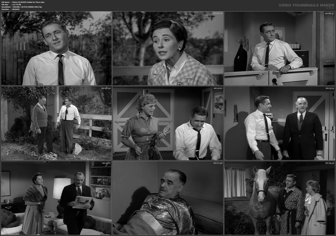 Mister Ed S01E05 Stable for Three.mkv
