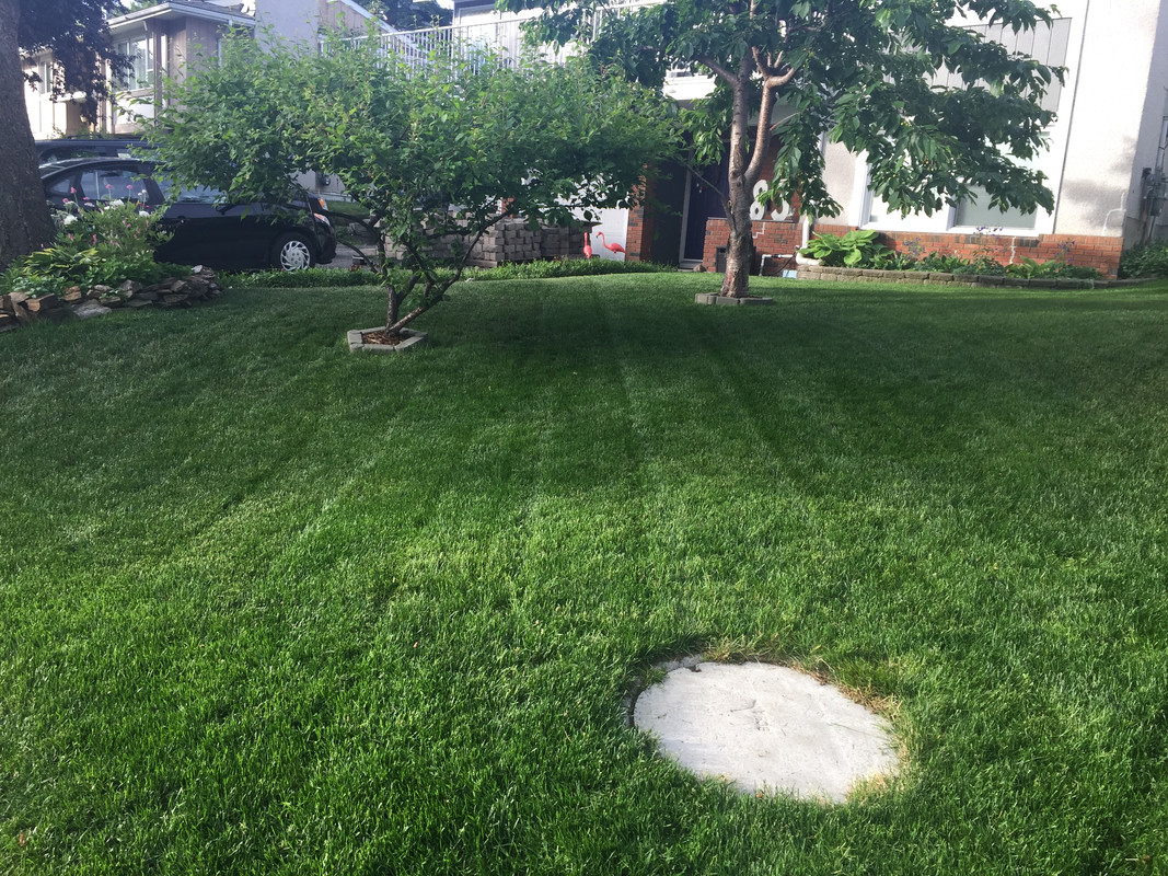 885E2D26-EC3F-4ED0-8BA3-DD73B33F1671