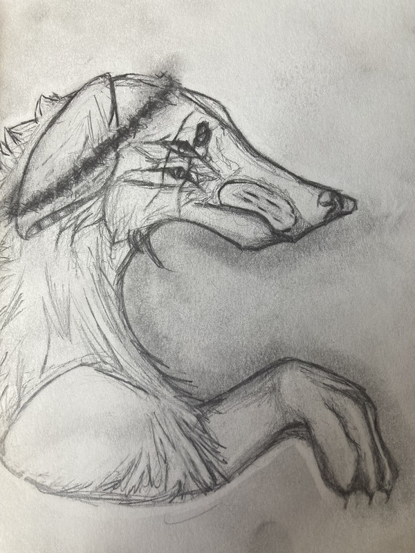 7C073659-63CB-45ED-96CD-991C8A21DB2F