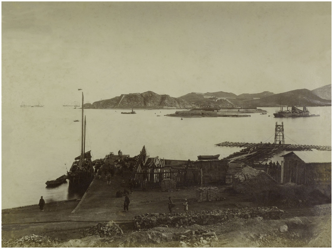 Вид на Тигровый хвост 1893.