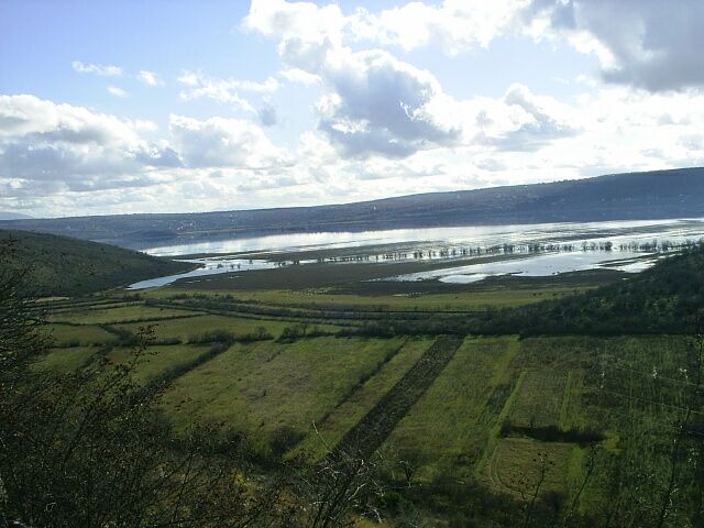 slika