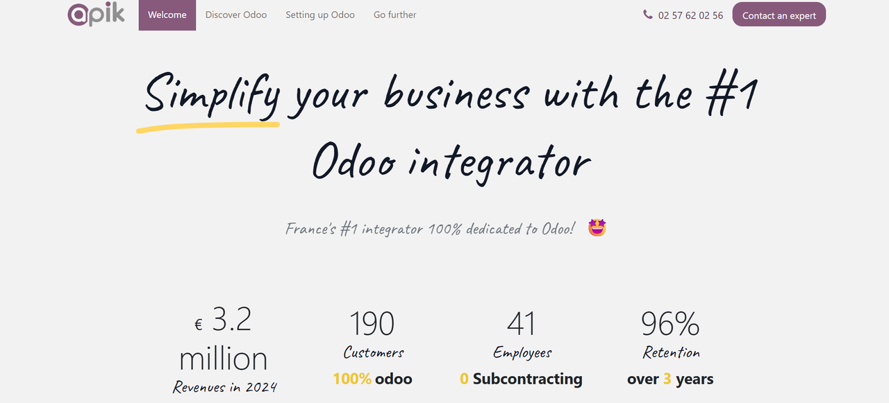 Odoo Development Company in France Apik
