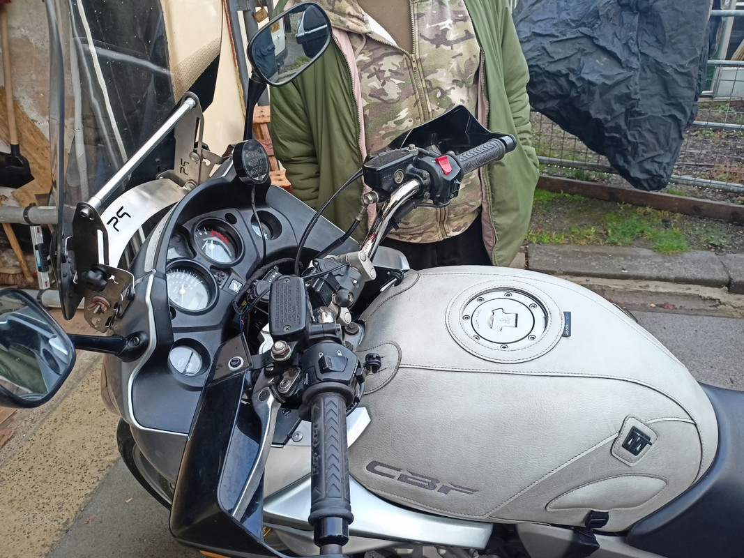 IMG20221120143446 (Large)