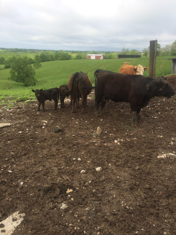 5EFEA031-157D-40E0-A48E-B3883DA32549