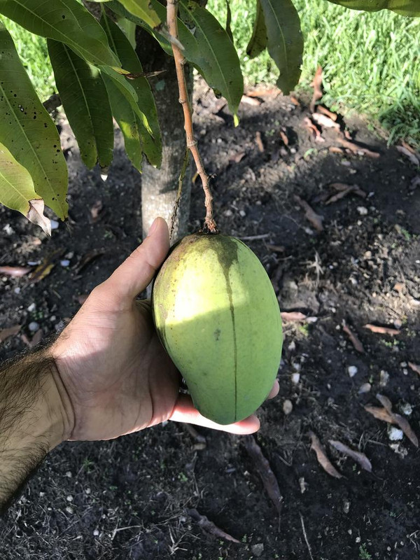 E7F5E300-E39E-4A38-8EE6-DBA9F23386AA