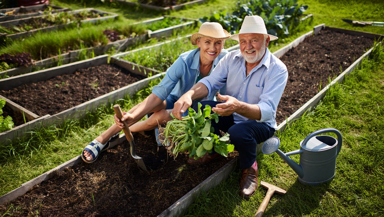 огород без хлопот для пожилых людей с высокими грядками