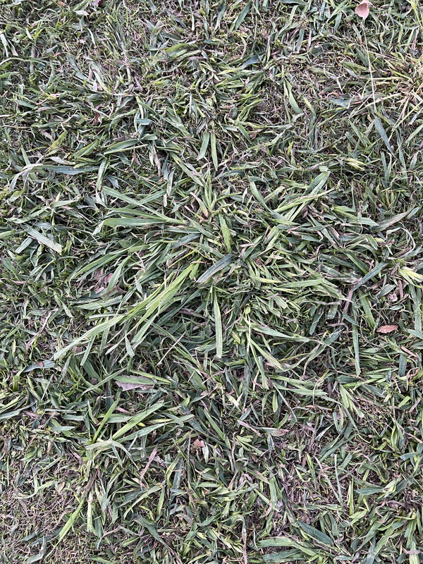 ACB63BE3-E8E0-4917-9B52-92416EDCFC8E