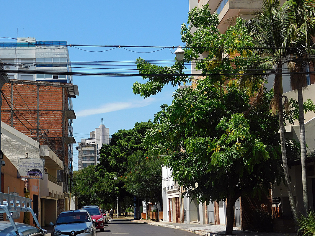 DSCN6547.jpg