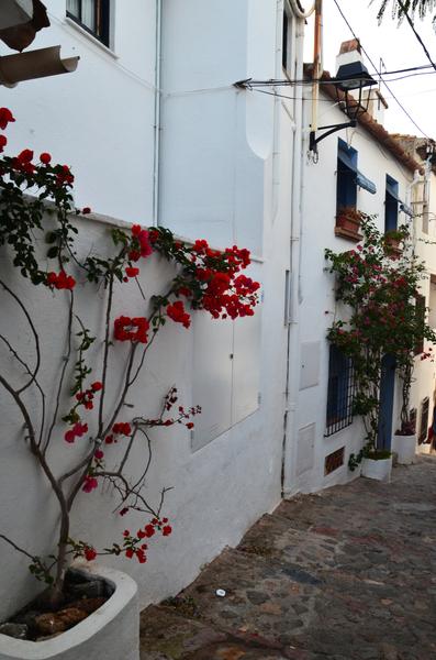 CALELLA DE PALAFRUGELL-21-11-2017 - Gerona y sus pueblos-2016/2017 (46)