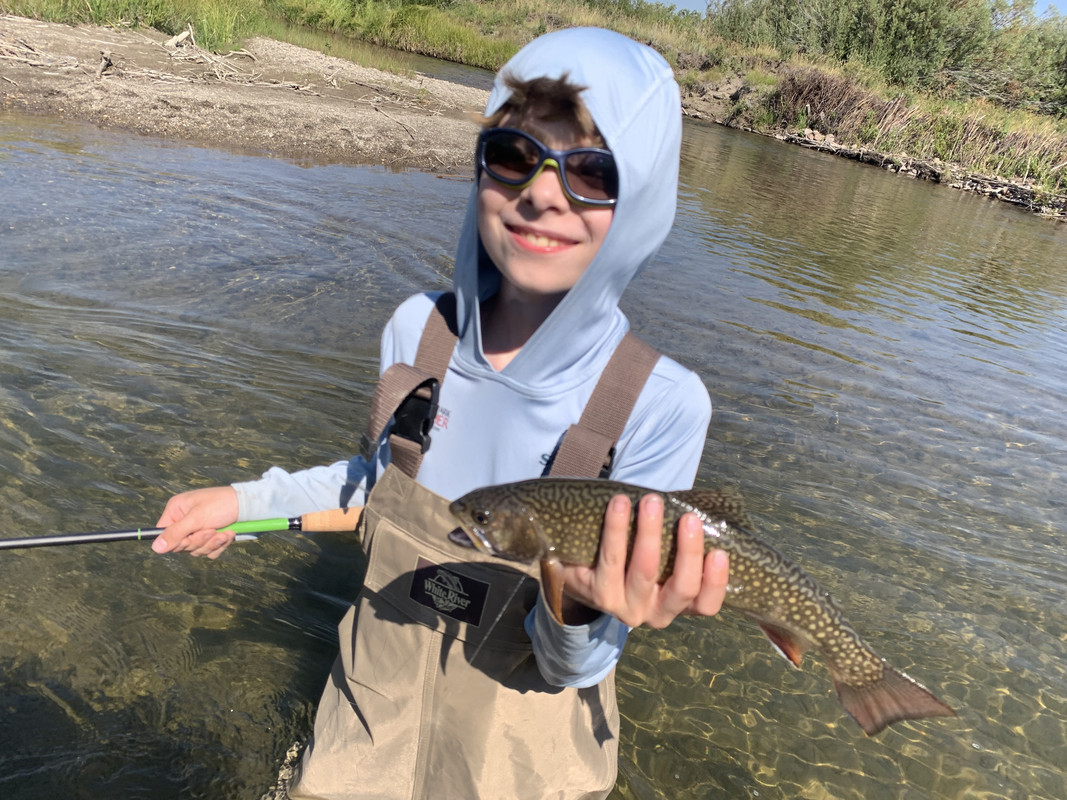 726B28AF-0732-4246-BBCE-D8611BD50699