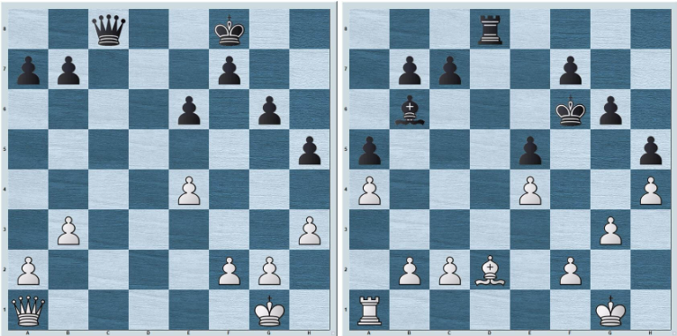 The absolute and relative Skewer, Chess Tactics