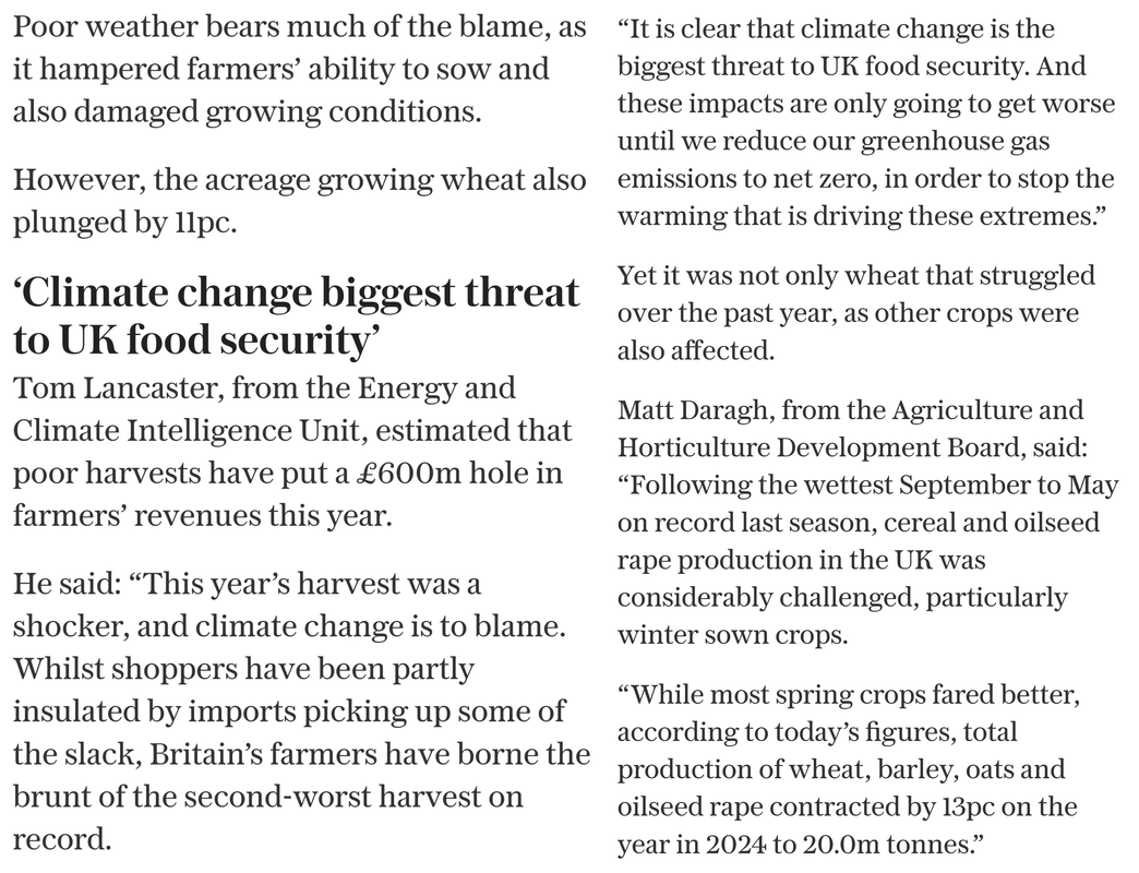 imgonline-com-ua-twotoone-paw-HFs-QONWb6