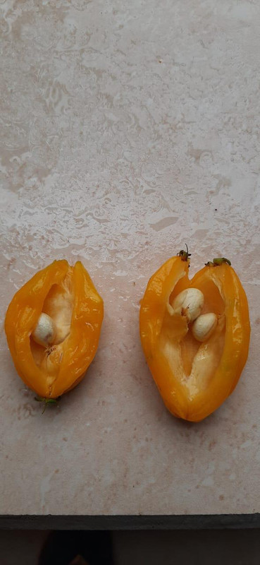 WhatsApp Image 2020-12-09 at 10.33.56 (3)