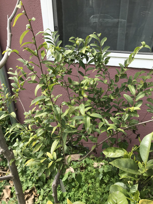 0E4E0D10-24B4-4B7E-8853-13AD35E5871C