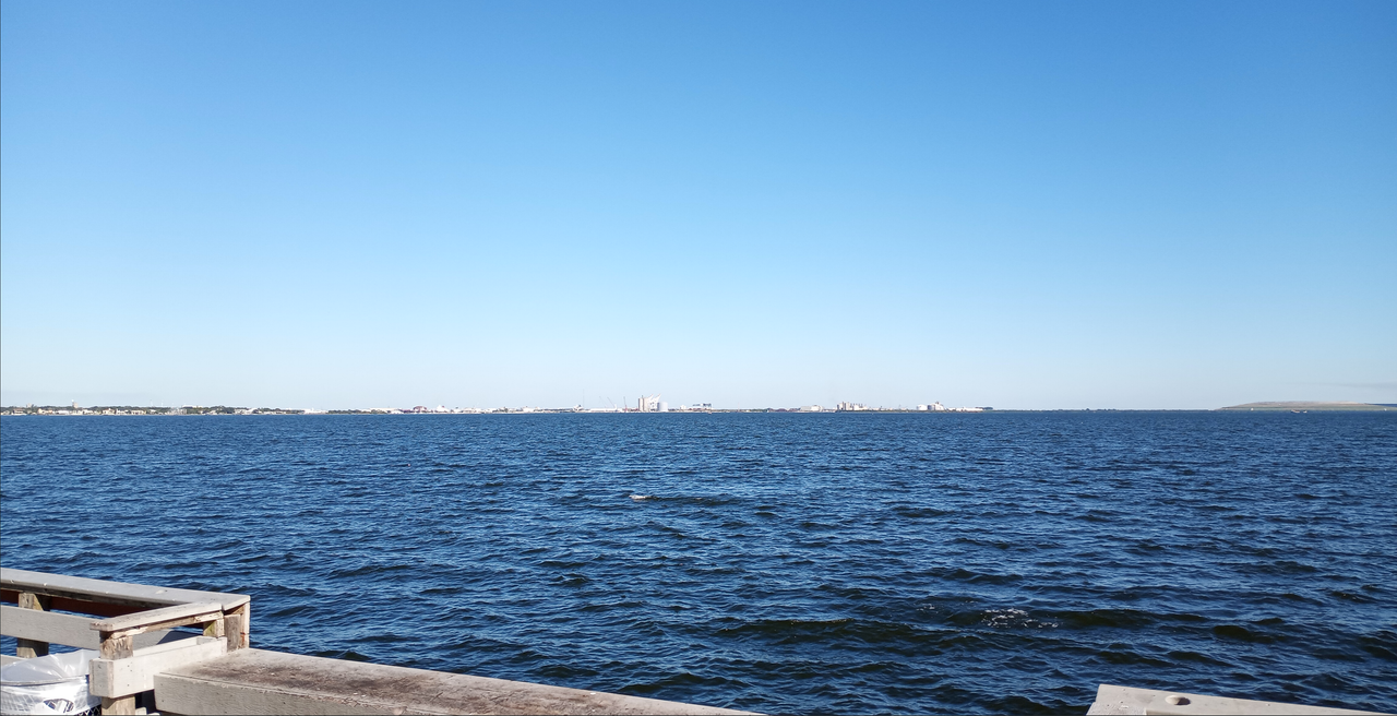 [Image: Ballast-Point-Park-Tampa-FL9.png]