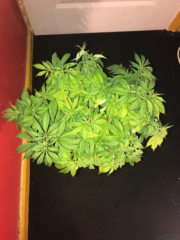 99FA6F40-C851-4EC5-BD42-09B24A79DECF