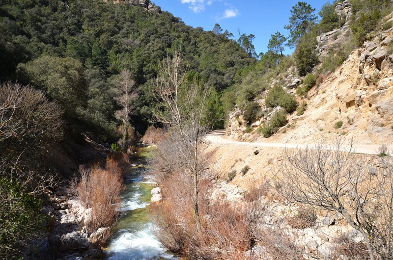 RUTA RIO BOROSA-12-3-2016-JAEN - Paseando por España-1991/2016 (14)