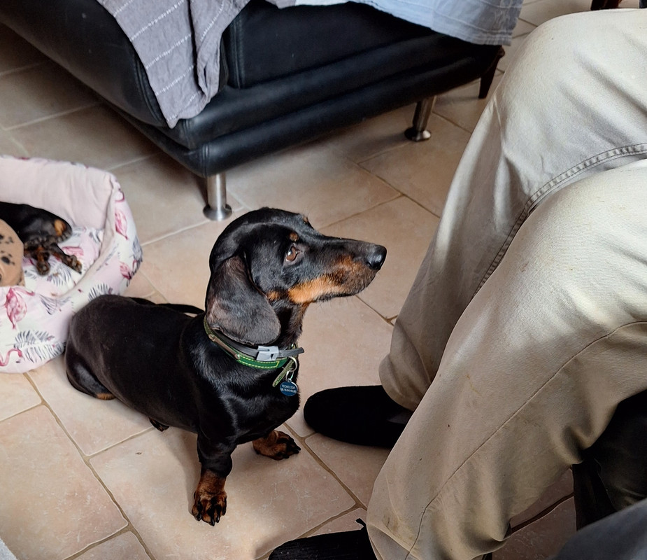 [Image: 20240914-131654.jpg]