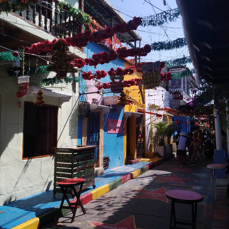 Зимовка 2026, полтора месяца в Колумбии.