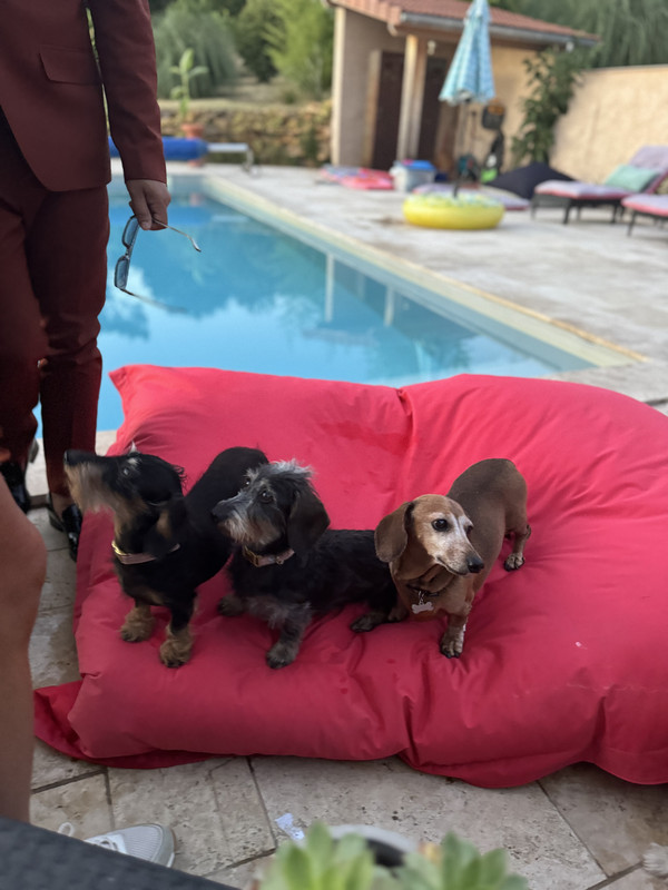 [Image: IMG-5193.jpg]