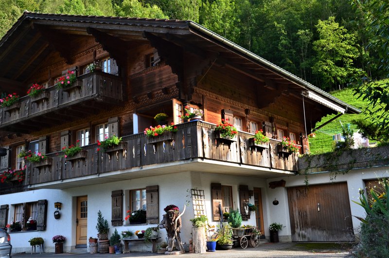 BRIENZ E ISELTWALD-9-9-2019 - Suiza y sus pueblos-2019 (19)