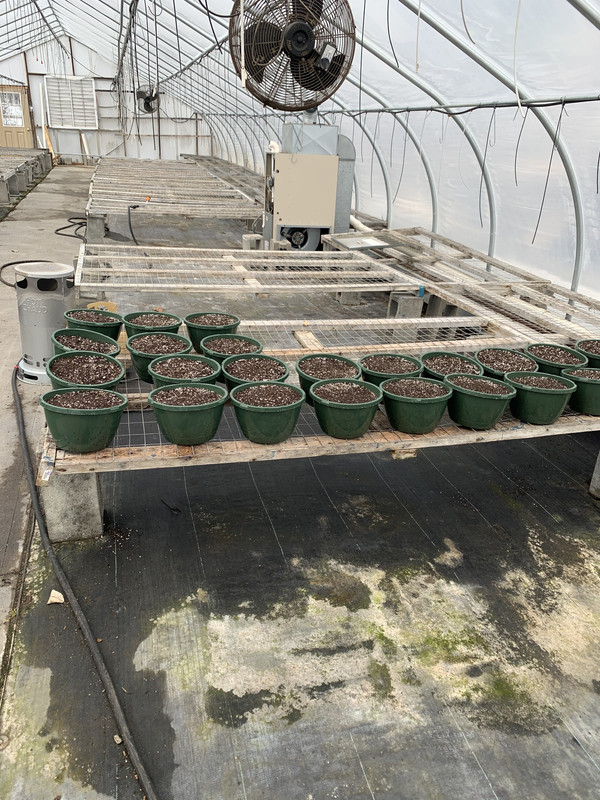 D26AA88D-F7A2-43F6-B17B-A17A744ACC4C