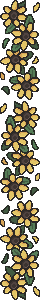 https://i.postimg.cc/W4n3cC6G/sunflower-vertical-divider-medium.png
