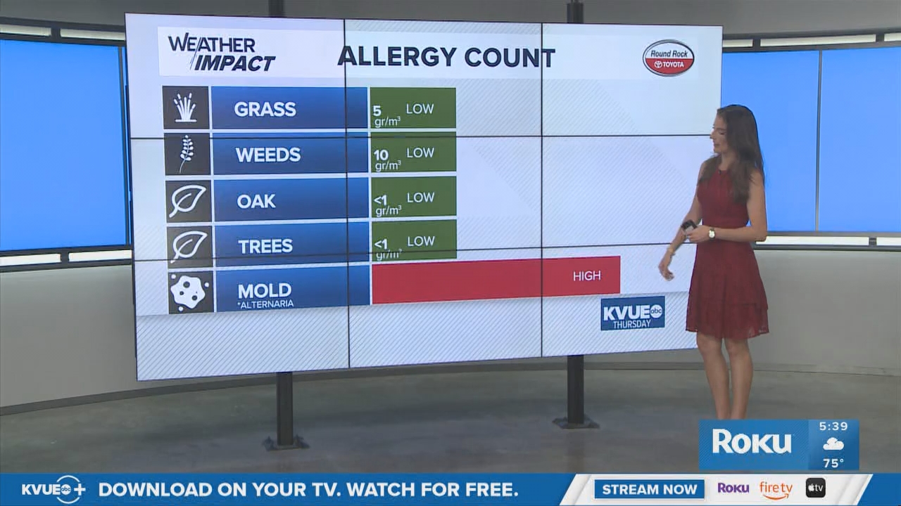06.05 - 11.00.00 - KVUE News Daybreak  ᴺᵉʷ. Breaking news and headlin....ts_snapshot_00.41.01.153