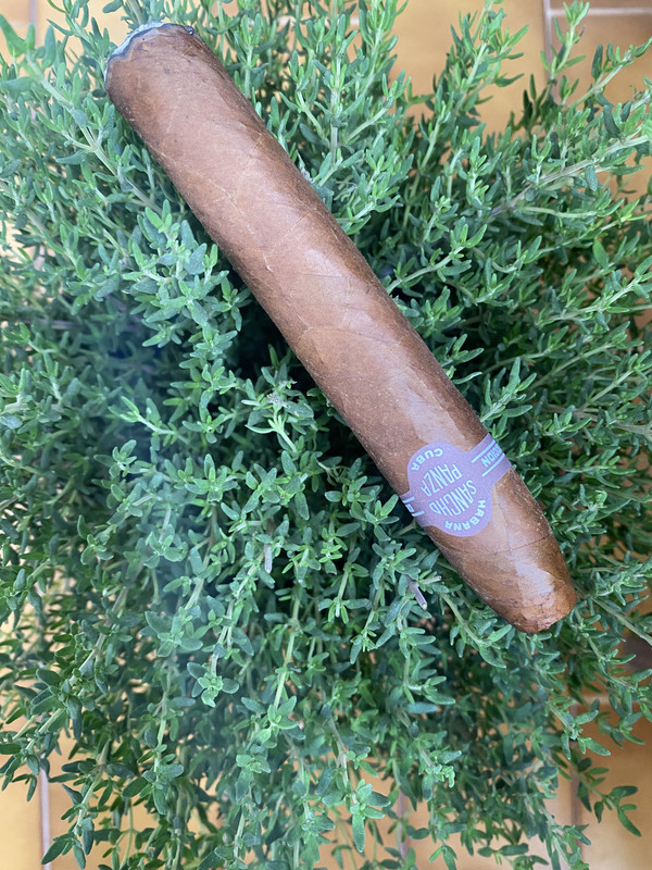 69A60B73-F453-4ABD-AE6B-797899206F69