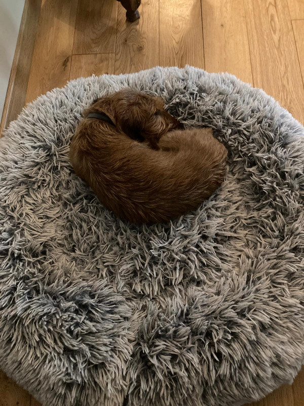 [Image: IMG-20241008-WA0002.jpg]