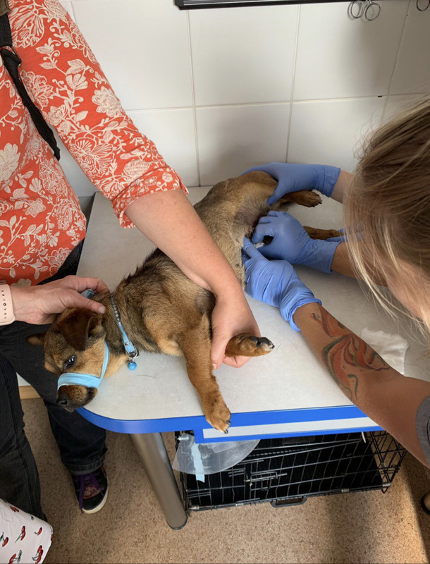 B194EB6C-30F3-4D59-8845-995511AC6A9A