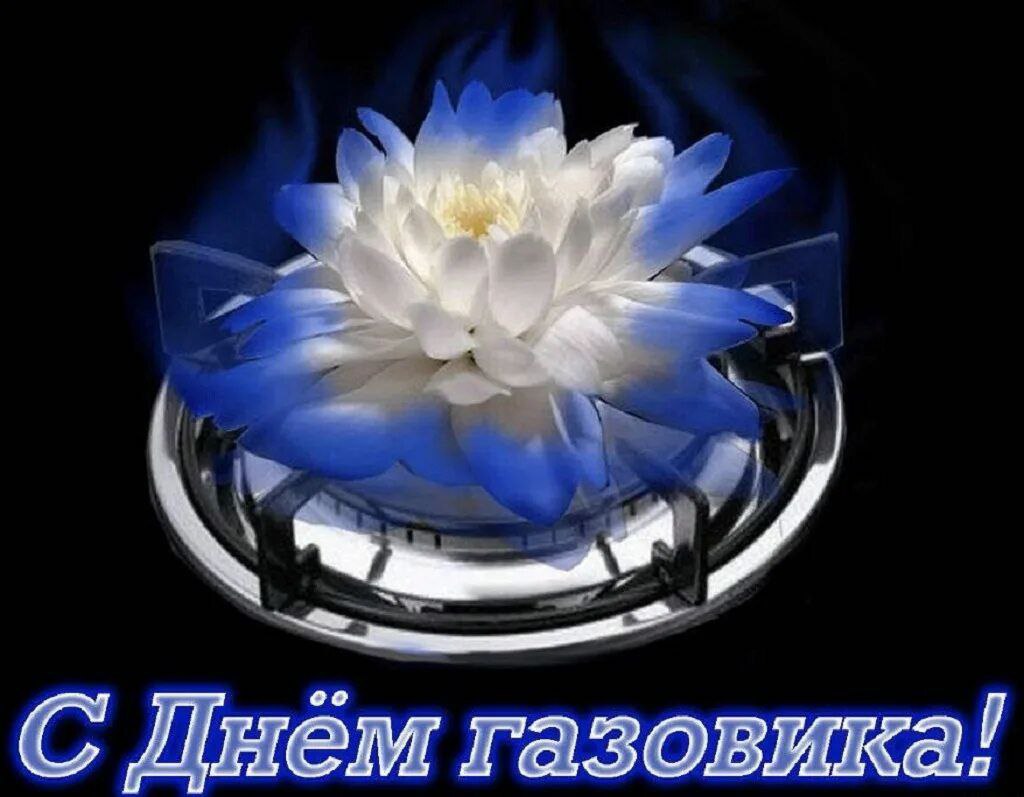 IMG_20230903_110053_314